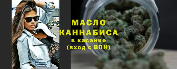 стаф Осинники