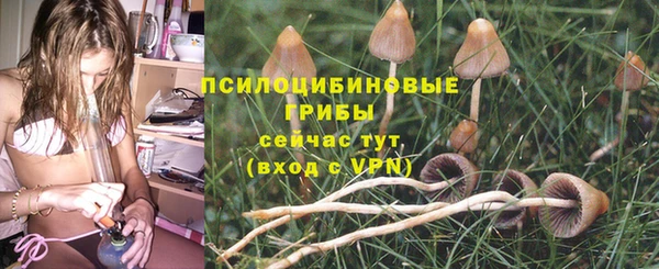 мет Абаза