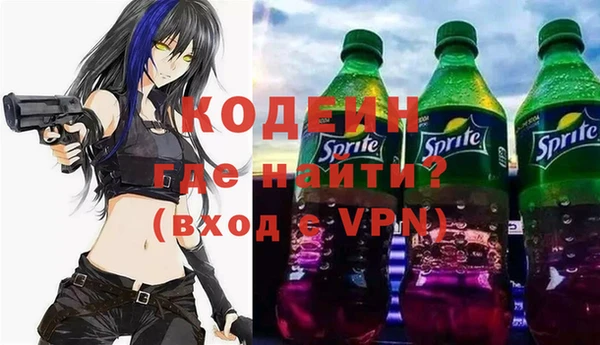 стаф Осинники